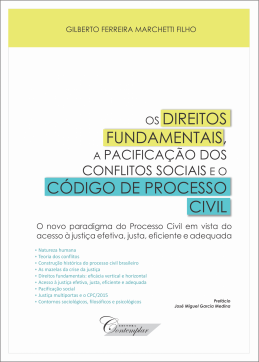 Os Direitos Fundamentais, a Pacificação dos Conflitos Sociais e o Código de Processo Civil